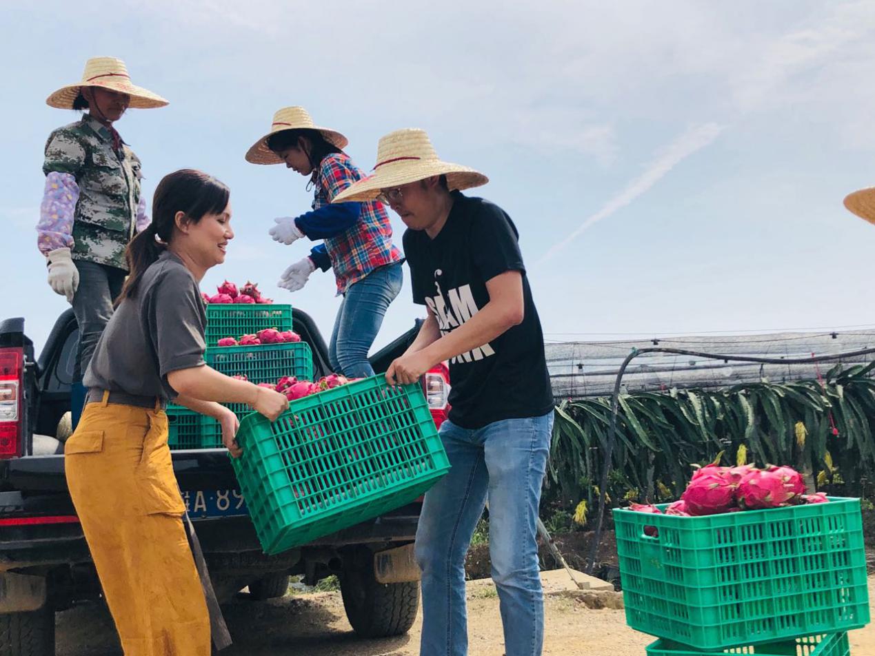 阿里返乡创业,阿里务工人员返乡