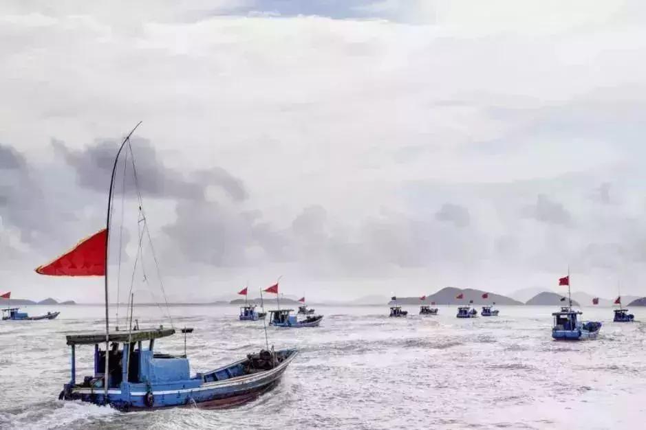 禁渔期能够吃到海鲜吗,禁渔期的海鲜从哪里来的