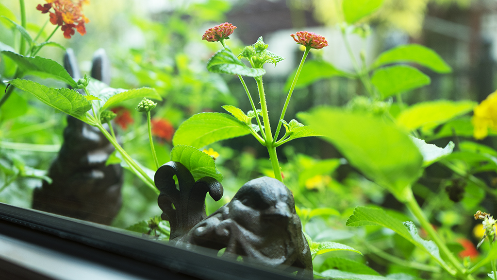 清凉山居叠拼没证,清凉山居别墅300平