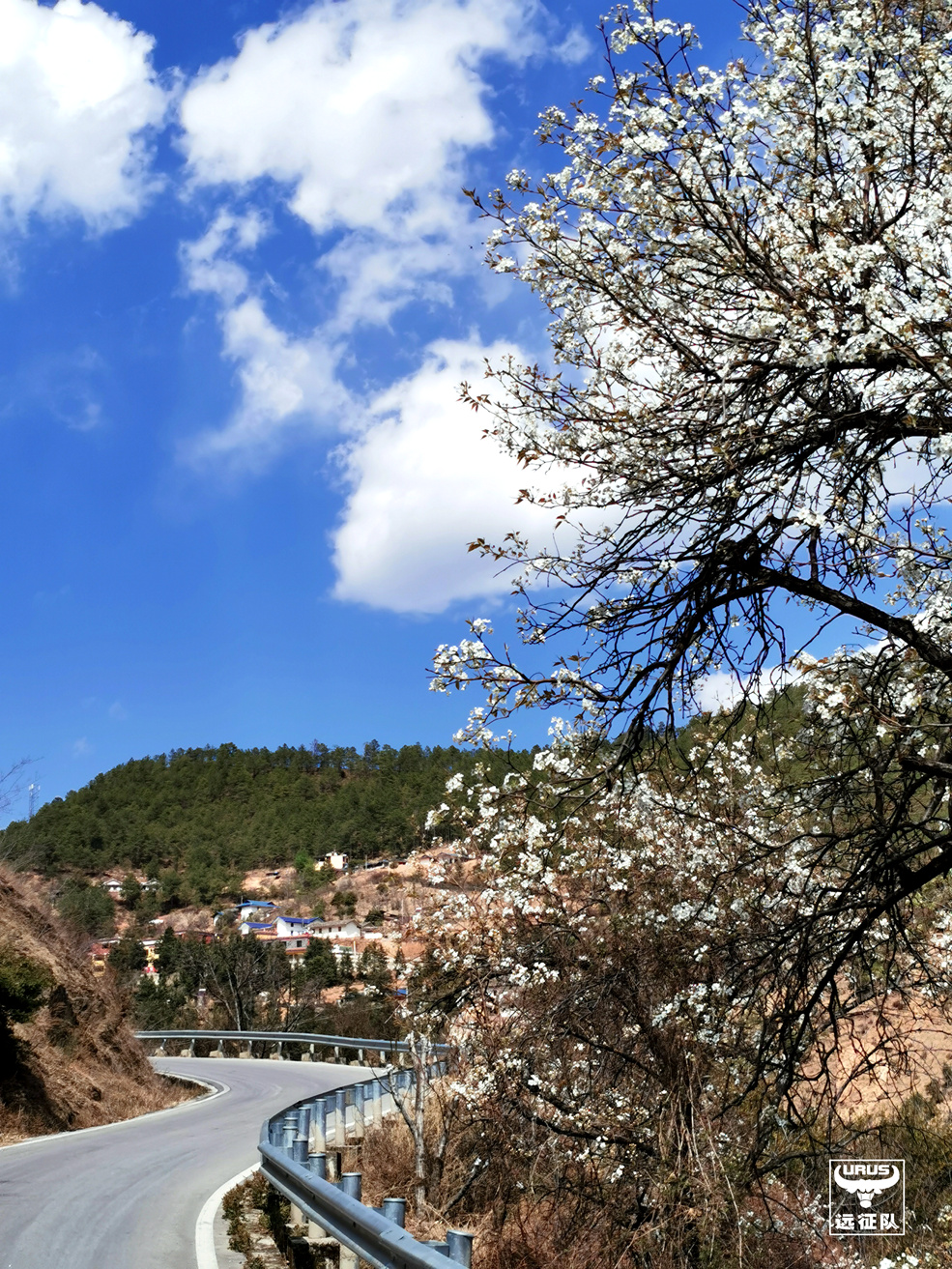 稻城亚丁至玛娜茶金如何走,四川木里县到玛娜茶金自驾