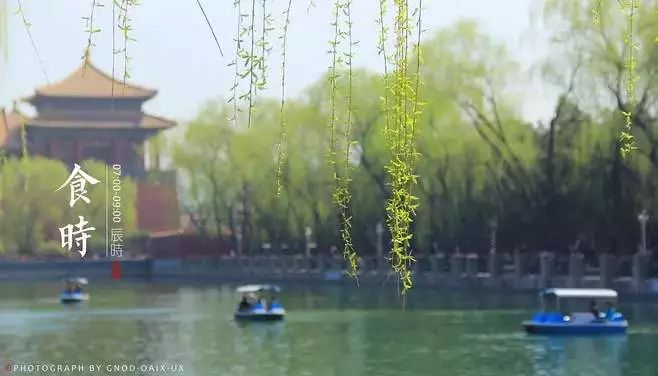 人体经络养生动作,中医养生按摩知识大全