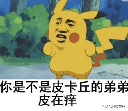 在荷兰一年的生活费,荷兰2019人均工资