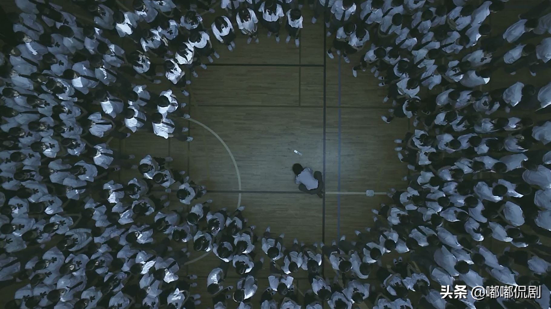 告白与复仇解析,告白与复仇