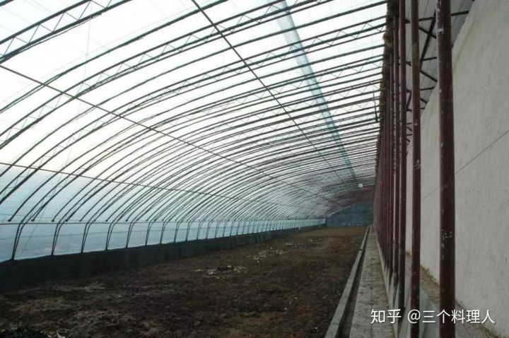 灞变笢鐨勮敩鑿滅粰鍝噷渚涚粰,灞变笢鐨勮敩鑿滈兘渚涘摢閲屼簡