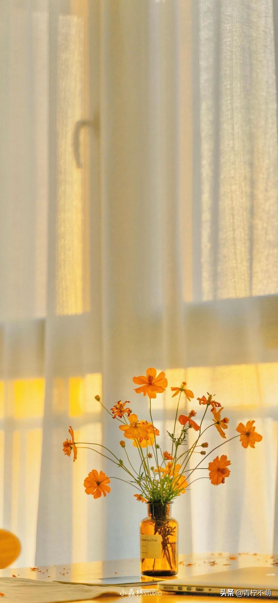 苹果13原装高清壁纸4k全屏无水印,4k超清壁纸1080p无水印全屏苹果