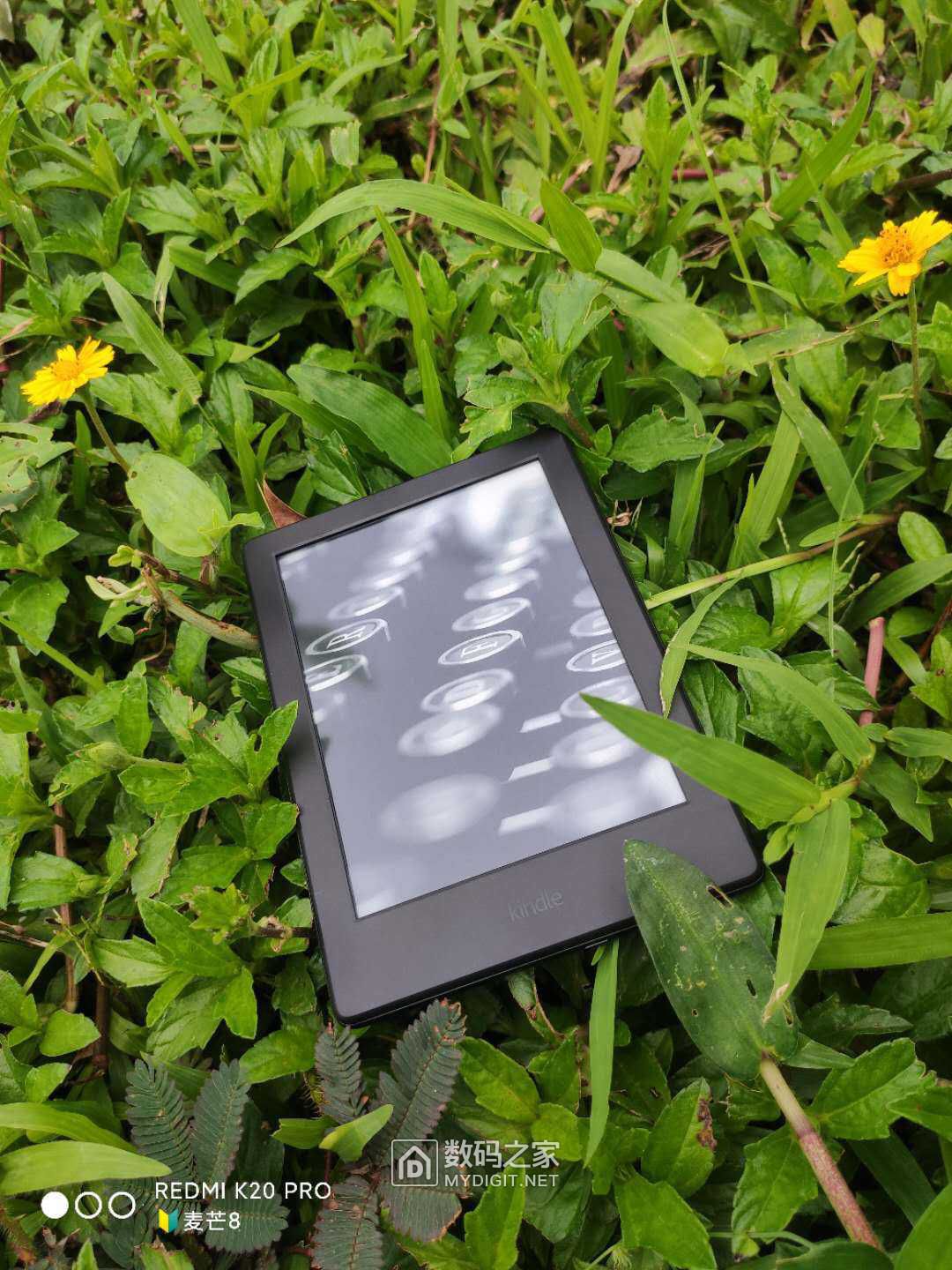 日版kindle使用体验,kindle开箱入门教程