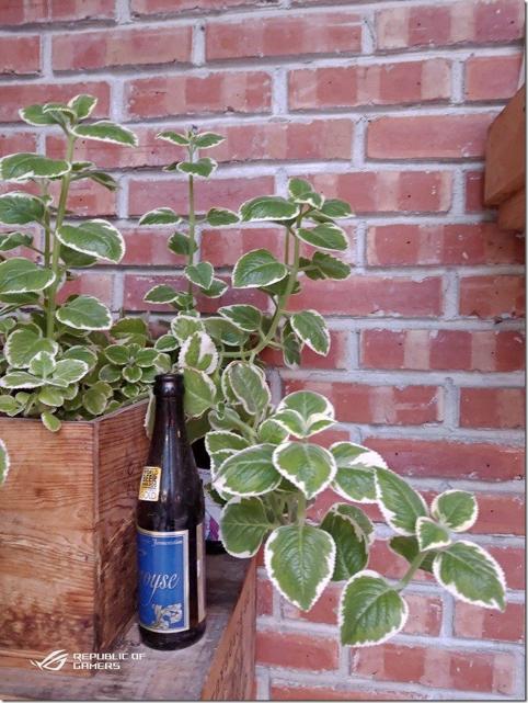 你想要的统统都给你全文免费,华硕rogphone6dultimate拆机