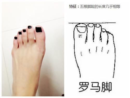 你的脚型适合哪款鞋子配图,你的脚适合穿什么鞋