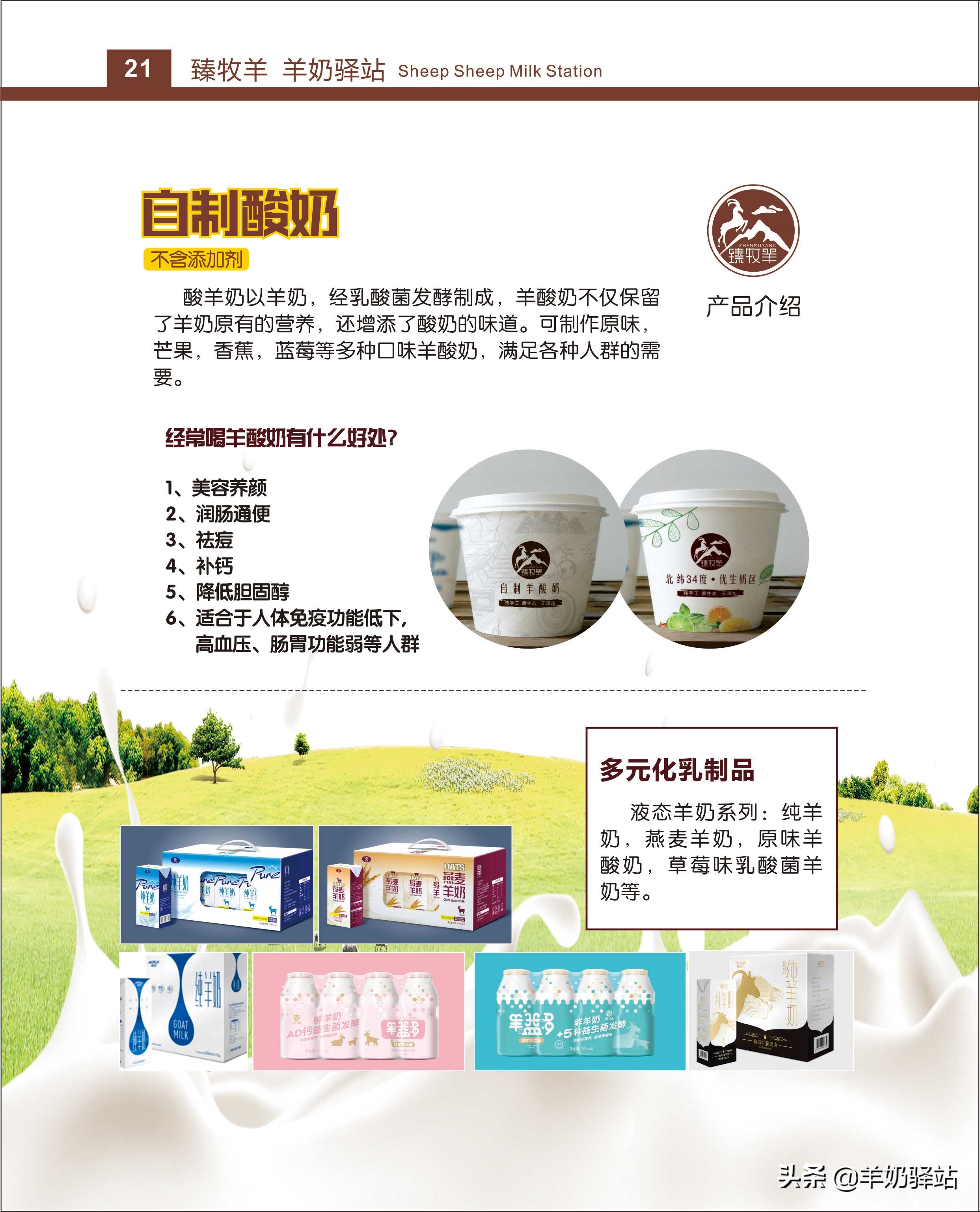 臻牧羊羊奶驿站运营模式,羊奶加盟连锁扶持排行榜