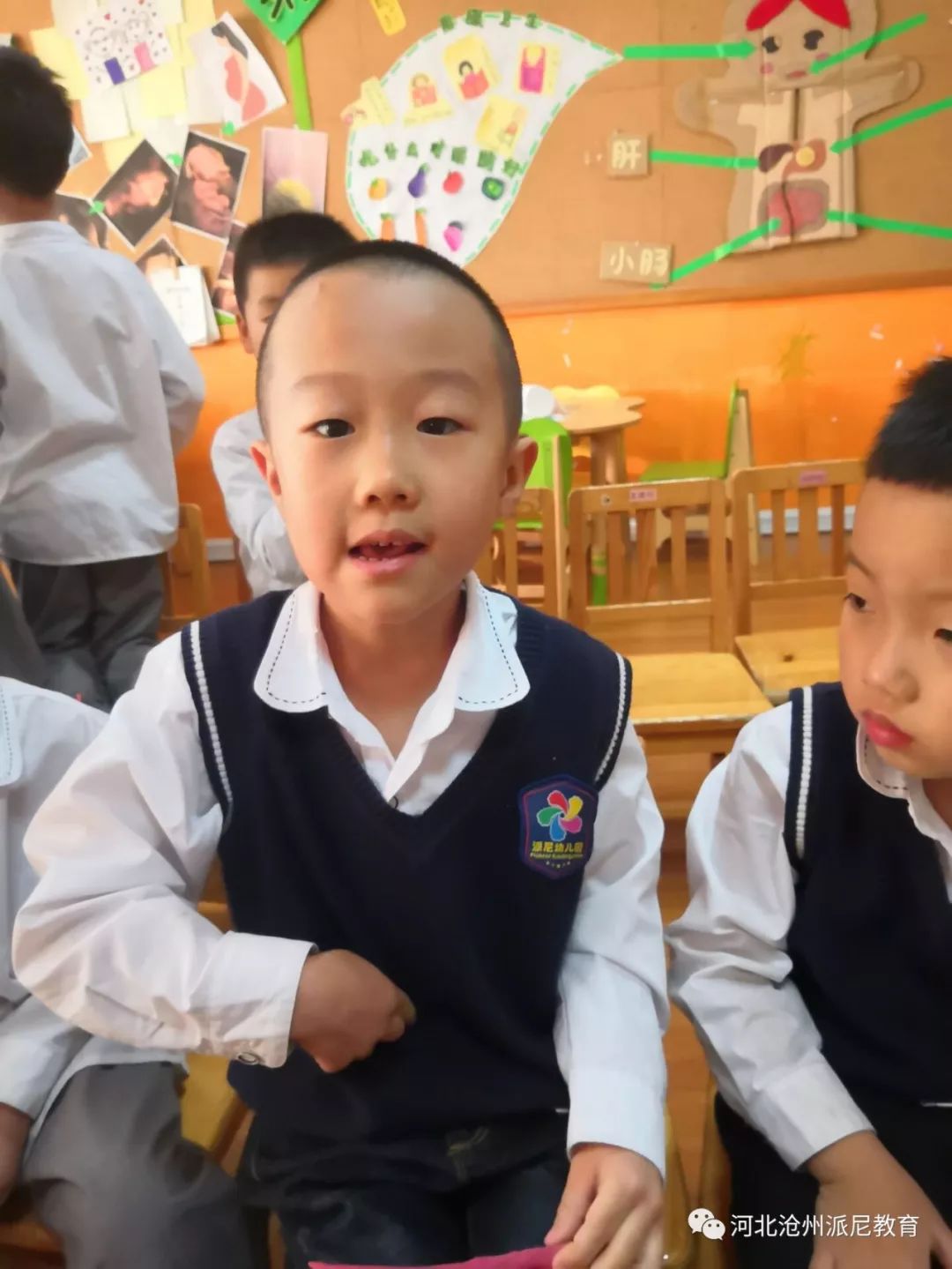 身体大揭秘动画,身体大揭秘