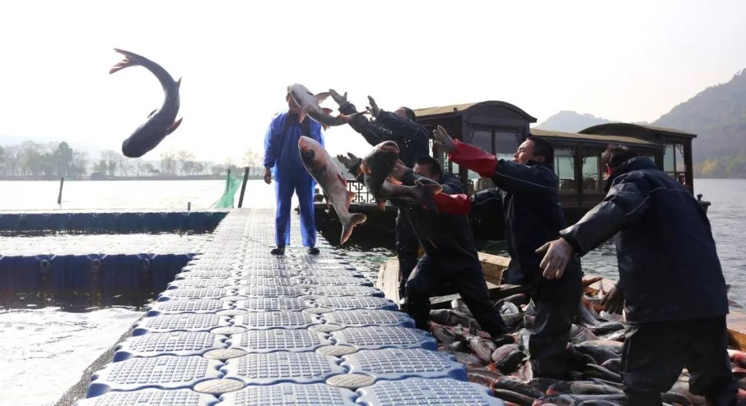 大过中国年高清原图,大过中国年