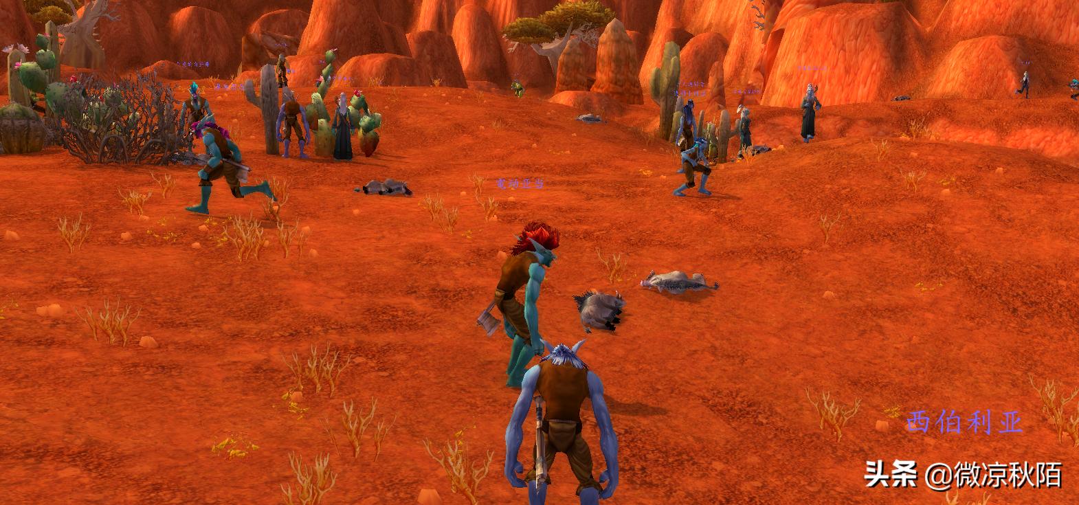 魔兽gm封号,魔兽世界gm封号前观察