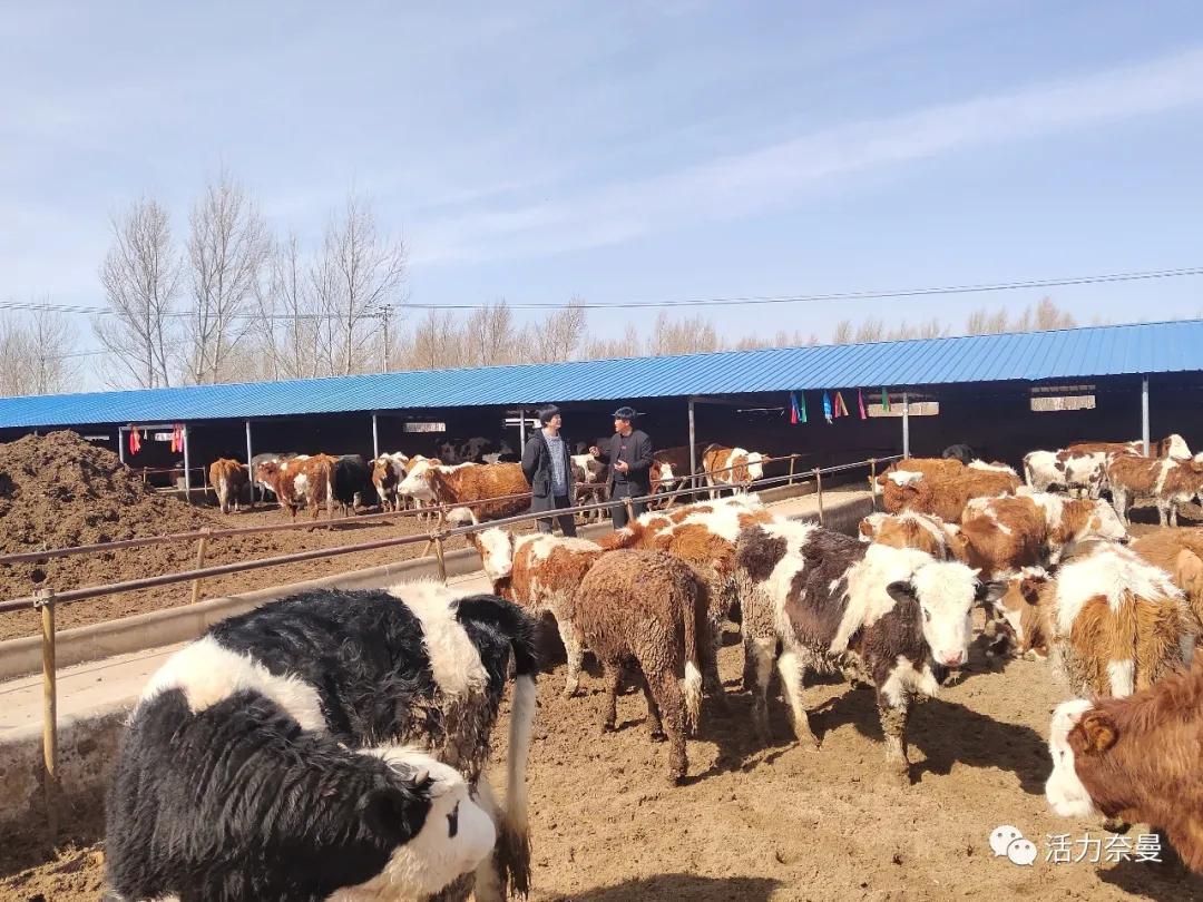 奈曼扶贫一点通,奈曼百企帮百村扶贫