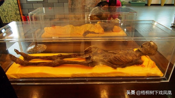 悬崖绝壁的坟墓是怎么修建的,悬崖峭壁上的棺材是怎么上去的