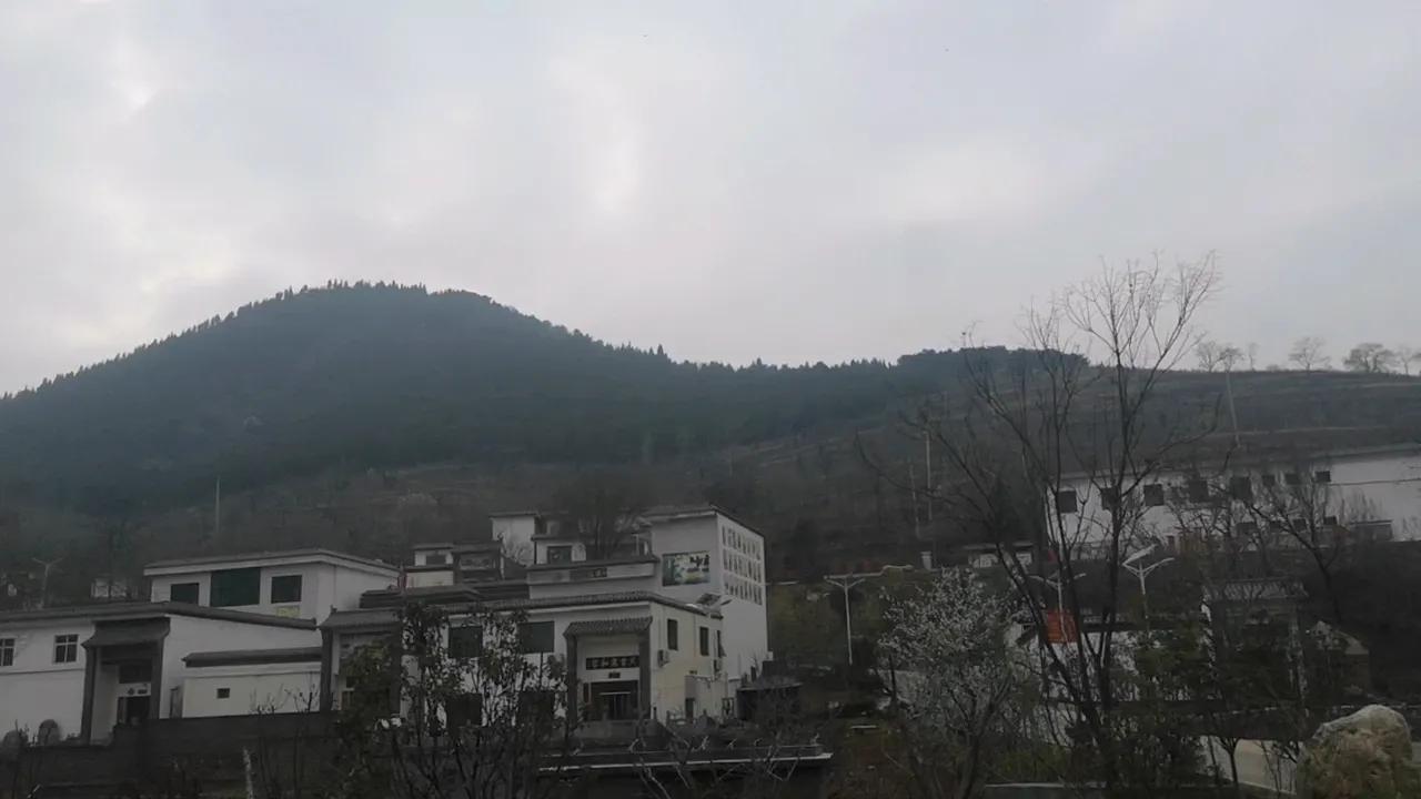 嵩山少林寺旅游攻略一日游,春季嵩山少林寺景区一日游