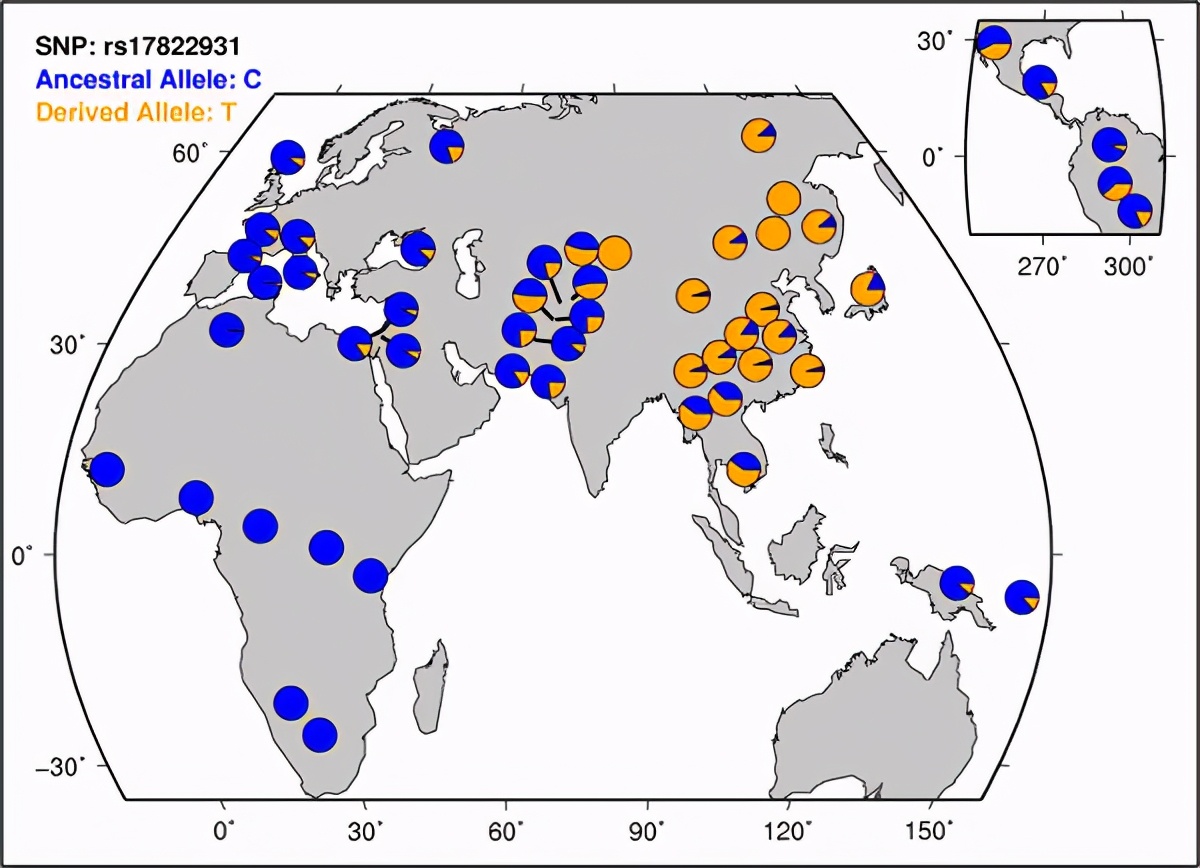 腋毛、阴毛有什么用？为什么它们没有随体毛一起褪去？