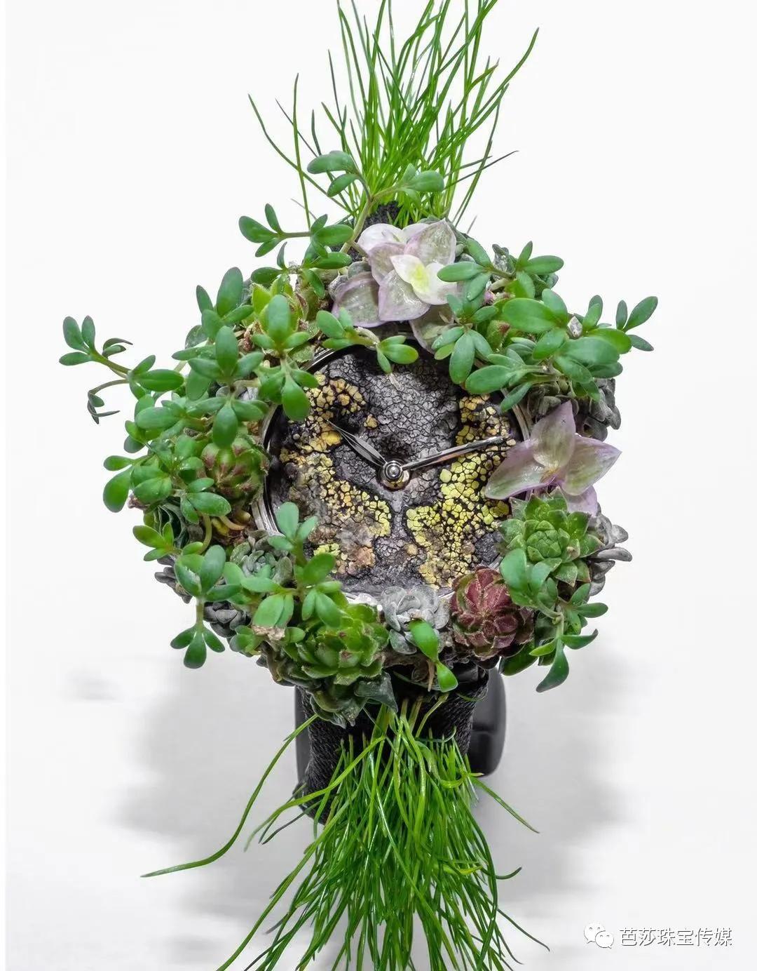 烦死了!戴了总被追着问牌子,这些“奇奇怪怪”的表你想不想要?