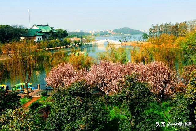 武汉月湖公园在哪里,武汉月湖公园在什么地方建