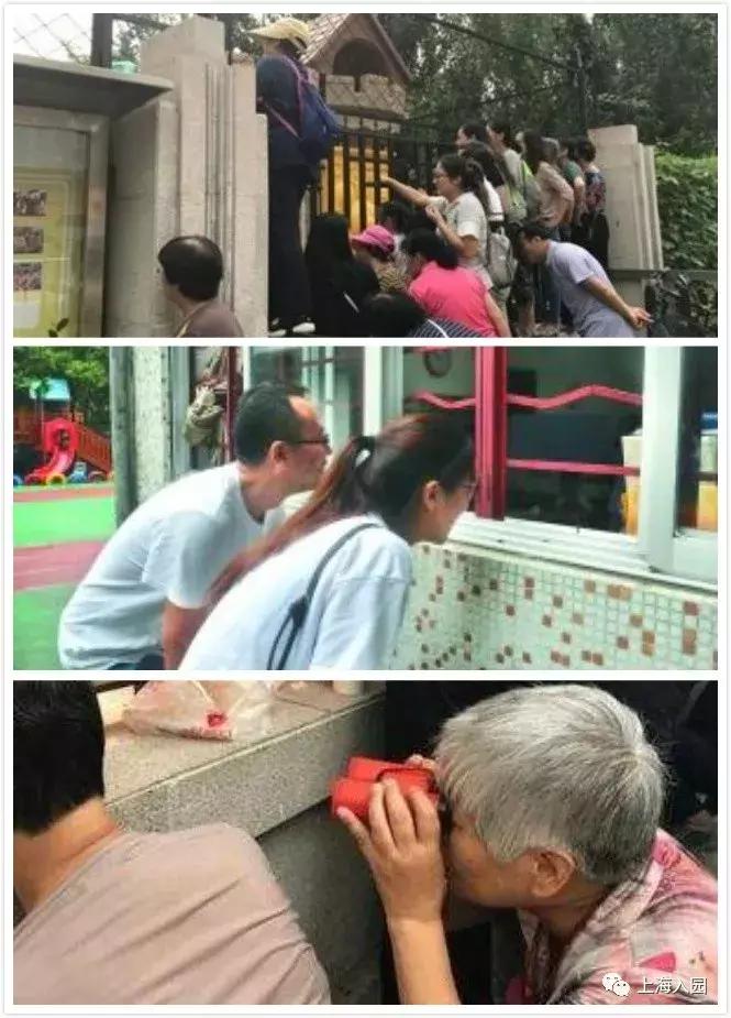 幼儿入园前家长的准备工作有哪些 (幼儿园开学新生入园要做哪些准备)