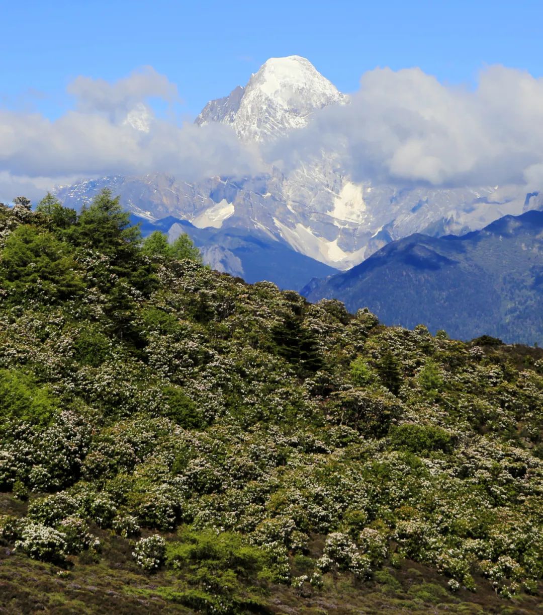 洛克徒步木里到稻城翻的是哪座山,秘境四川甘孜