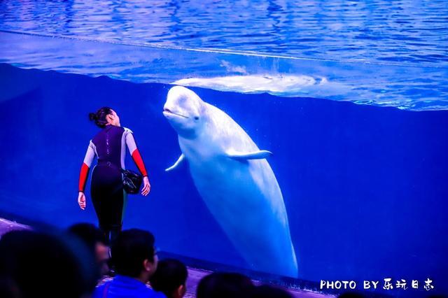 来珠海旅游必打卡的景点,春节珠海亲子游玩地方推荐