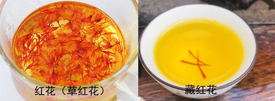 真假藏红花泡水图片,藏红花如何辨别真假