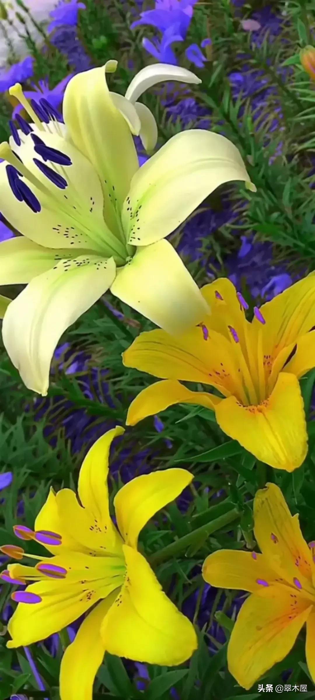 正义终将战胜邪恶对不对,正义终将战胜邪恶原唱