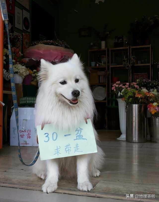 34个省级行政区所有特色,记忆我国34个省级行政区的分布图