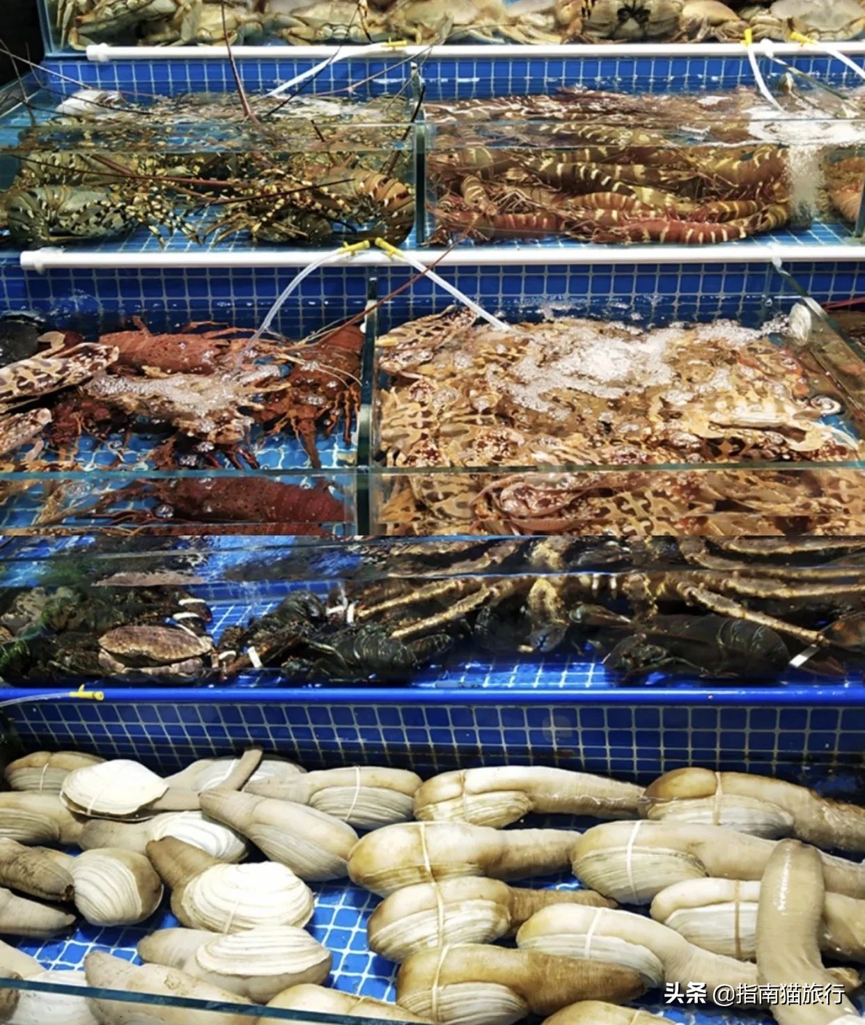 夏天去哪个海边吃海鲜最合适,适合吃货去的海边城市