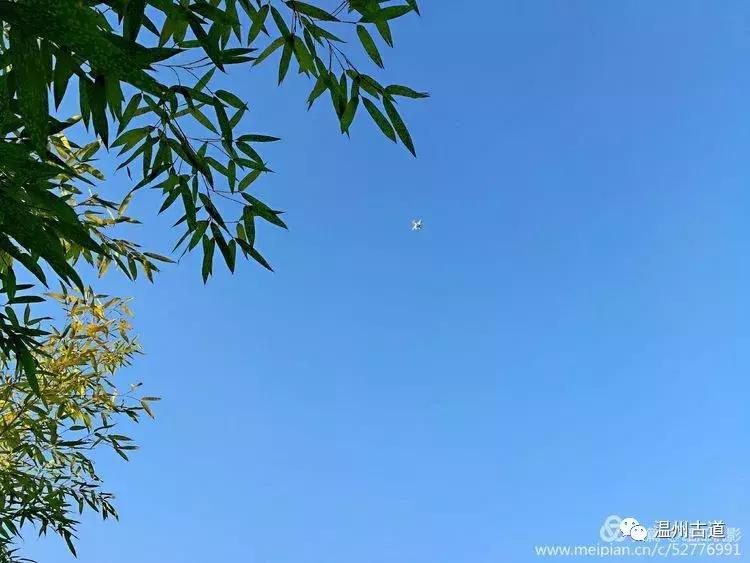 瓯江山水美如画,浙江瓯江旅游景点大全