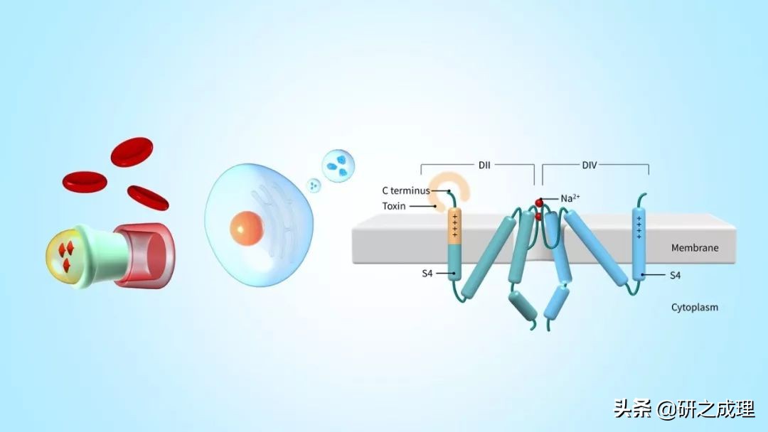 3d晶体科研绘图ppt,用ppt做3d科研图