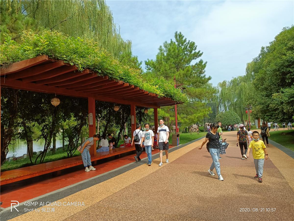 真我v55g,真我v5对比v15