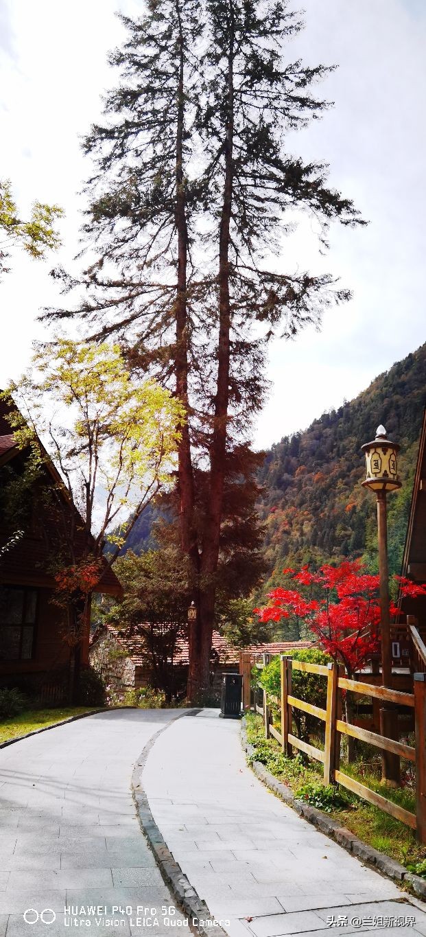 川西古尔沟～看到你之后只剩赞美！我好想去泡你