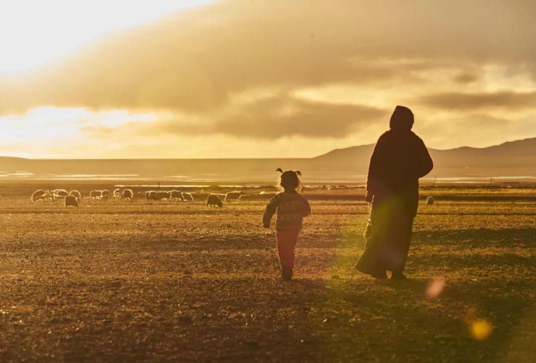 研究表明卵子具有选择性,科学家发现卵子对精子偏爱