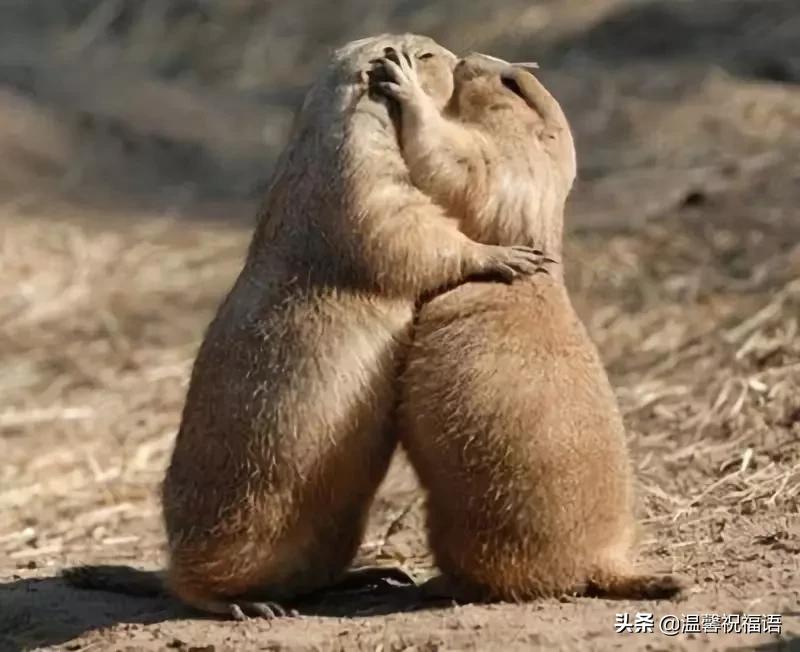 今天3月10，我的妈呀！谁编的，太好笑了，给群里乐一乐