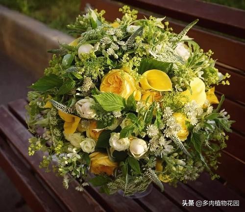 瓶式插花的注意事项,插花10分钟搞定几款气质的插花