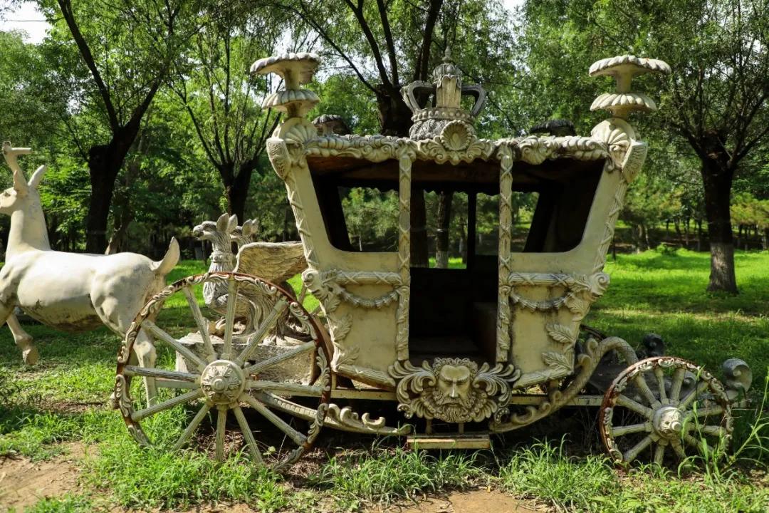 北京人少景美赏秋的公园,北京赏秋中山公园