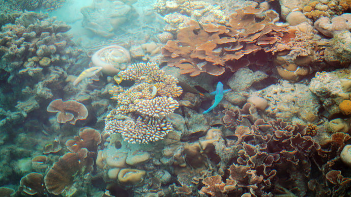 海上香格里拉金町湾,马尔代夫香格里拉隐逸的海岛天堂