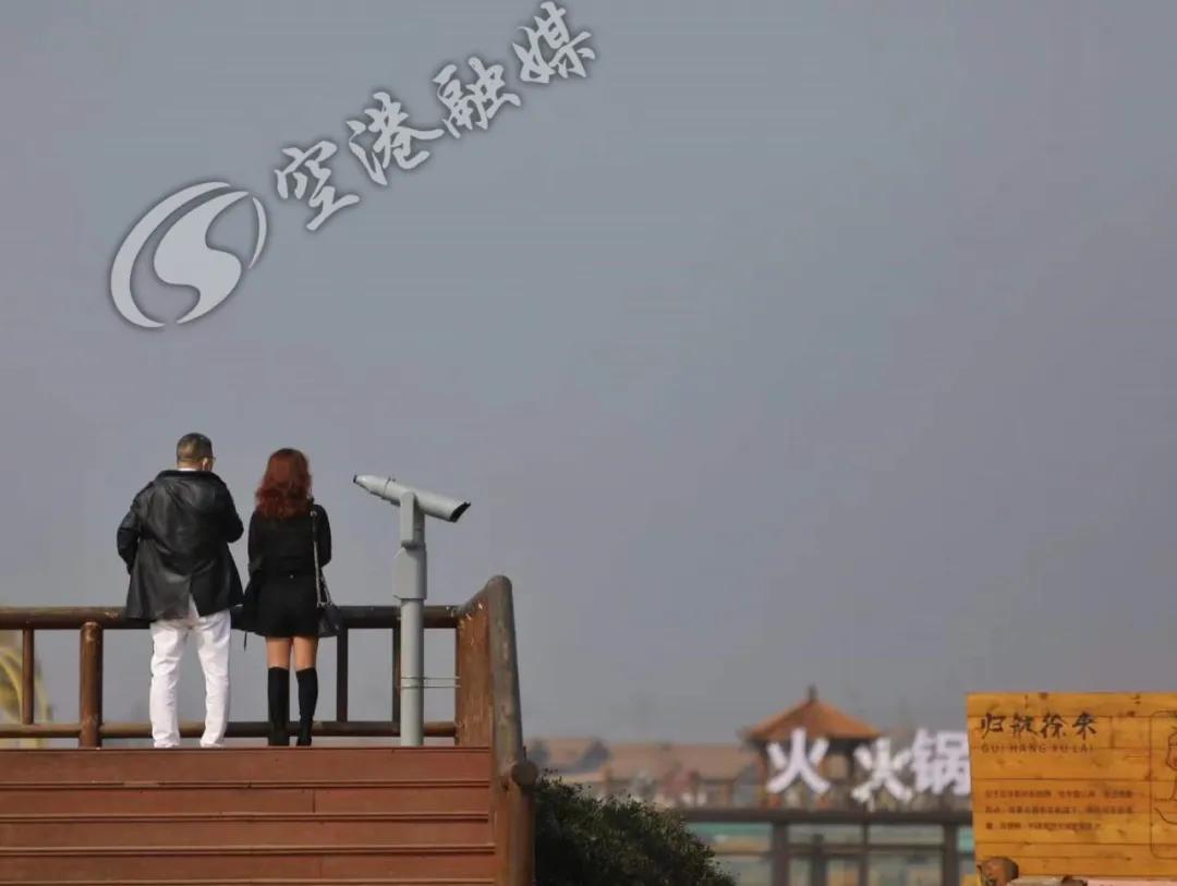 空港花田今天收门票吗,空港花田19.9门票