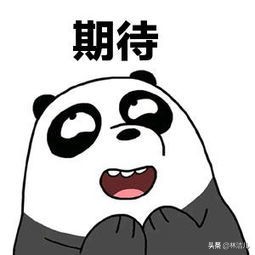 简单有用网购避雷妙招少花冤枉钱,网购衣服如何正确避雷