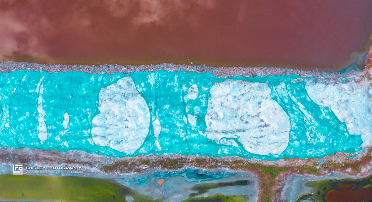 被中国人吃到濒临灭绝的食物,被中国人吃了千年不灭绝的食物