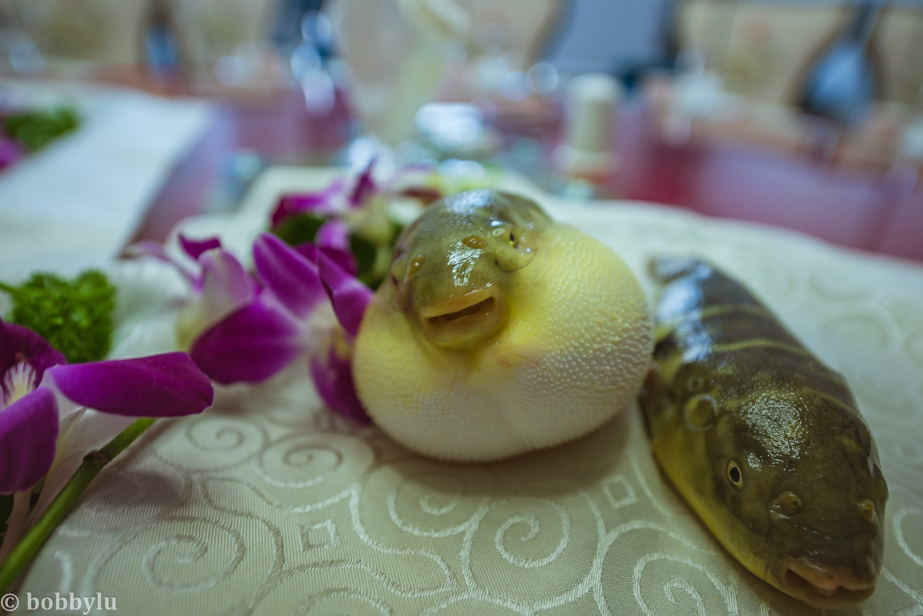 暮秋时节游曹妃甸、体验十里海网红民宿，感受渔村美食与文化