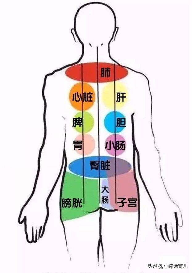 孩子如何养肺提高免疫力,儿童增强肺部抵抗力