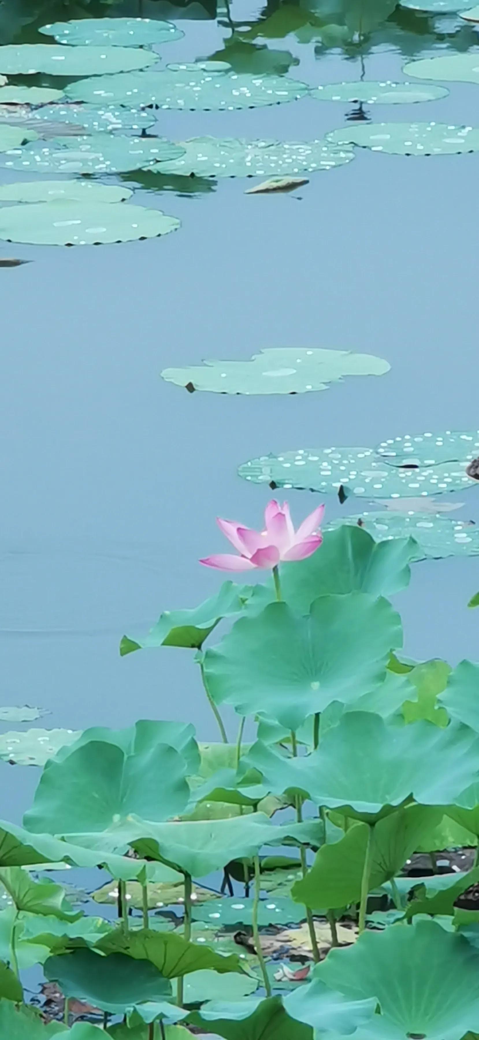 手拍世界投稿,手拍世界作品专集