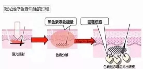 科普科学知识有什么用,科普科学常识有哪些