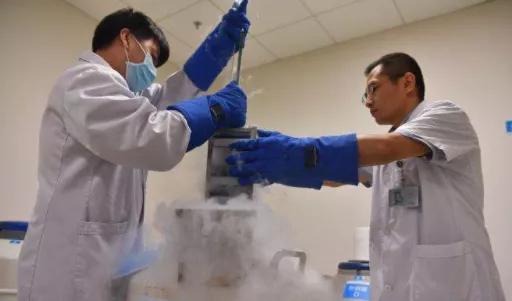 男性生育能力保养,男性健康生育能力