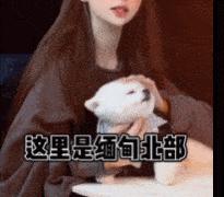 反诈民警老陈为什么被网暴,反诈警官老陈为啥被网暴