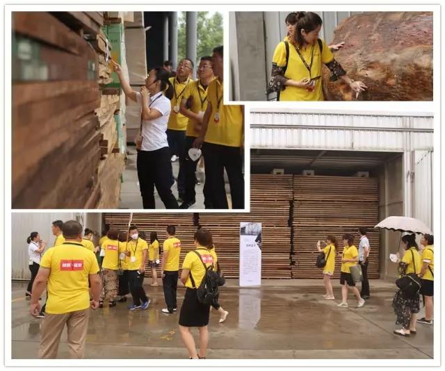 连续5年他们都来这，究竟为啥？