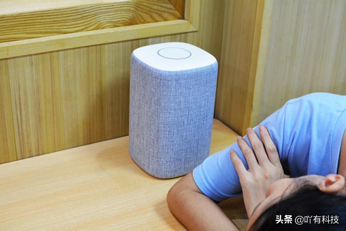 小米小爱音箱499,小米小爱音箱229音质