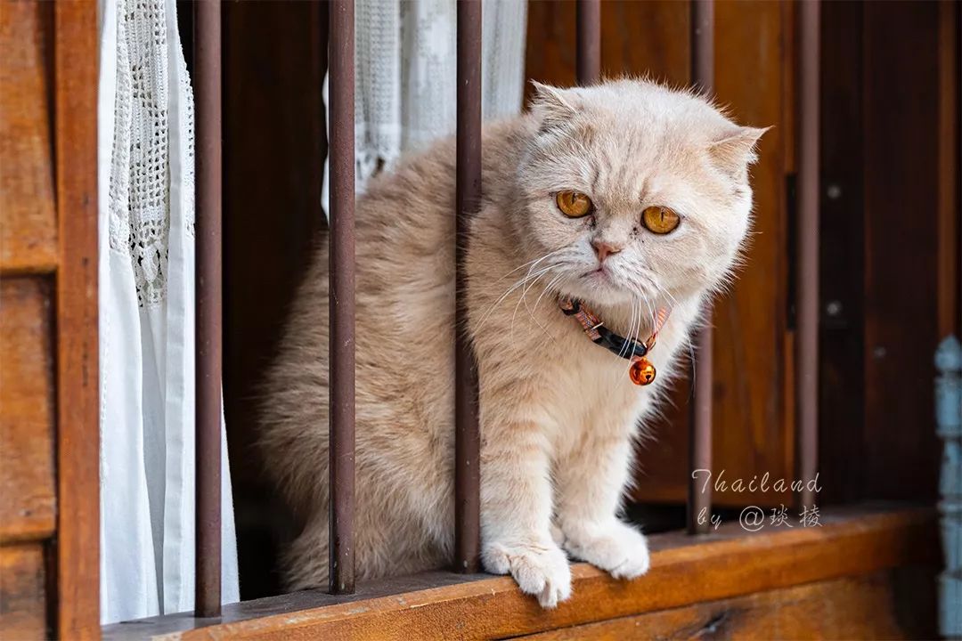 在泰国的“宝石之都”，珠宝街像菜市场，宝石摆地摊上出售
